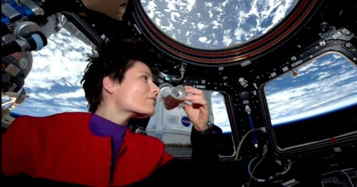 Space Cup Full of Science: Space Station Live