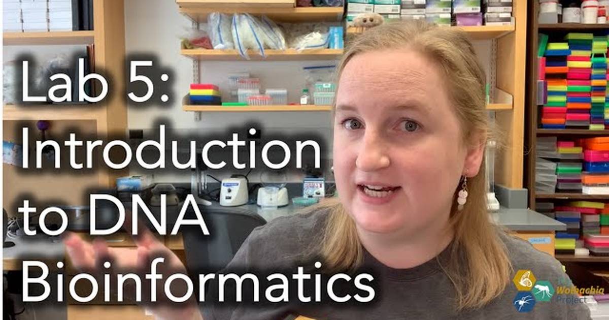 Introduction to DNA Bioinformatics: Sanger Sequencing
