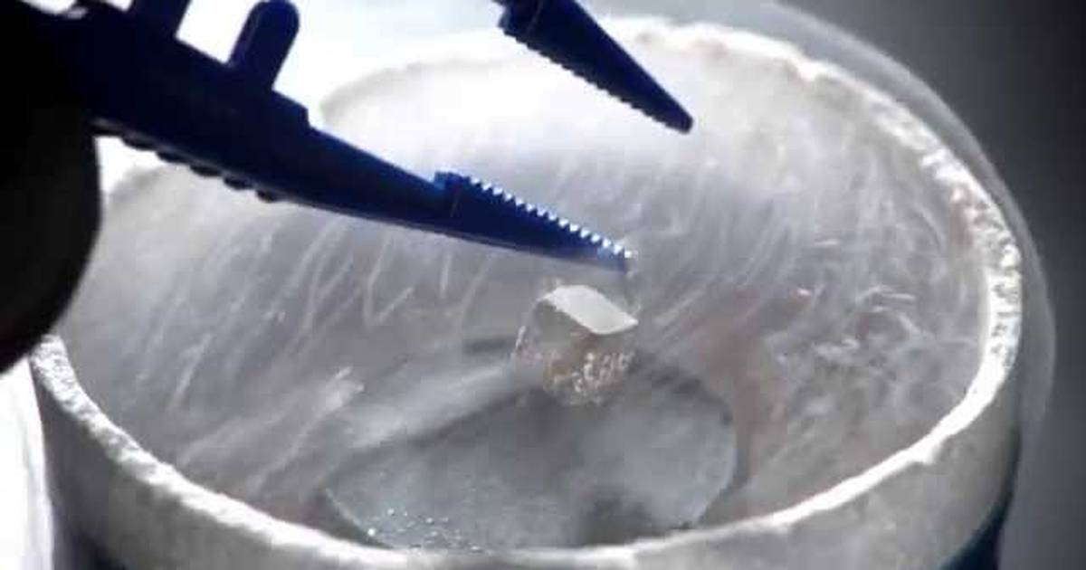 Meissner Effect