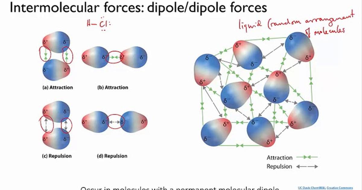 Intermolecular Forces in Organic Molecules