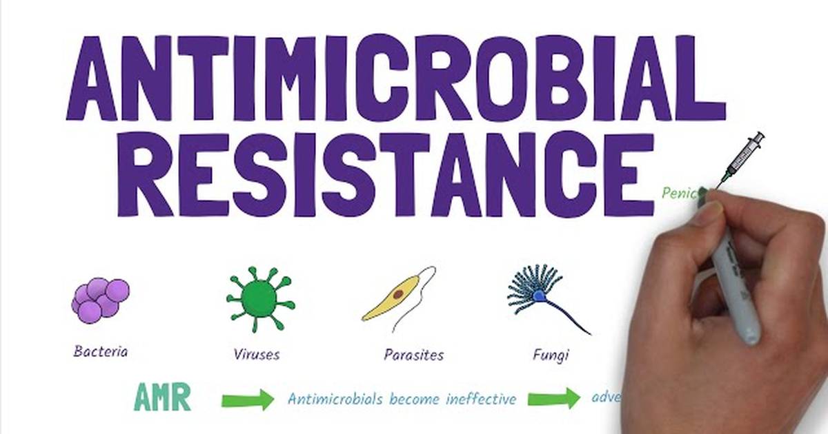 Antimicrobial Resistance (AMR): Stopping the Rise of Superbugs!