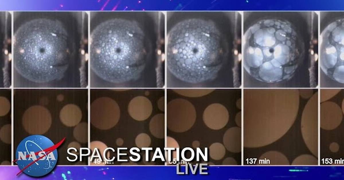 Space Station Live: A Crystal OASIS