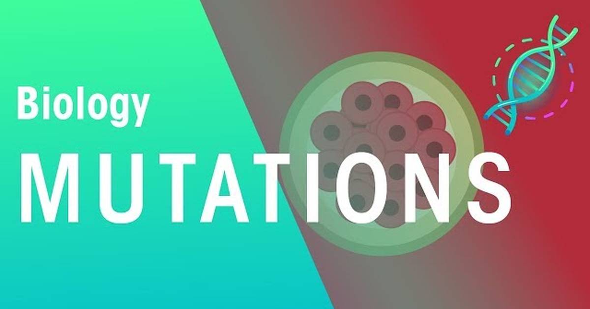 Genetic Mutations: Causes and Effects
