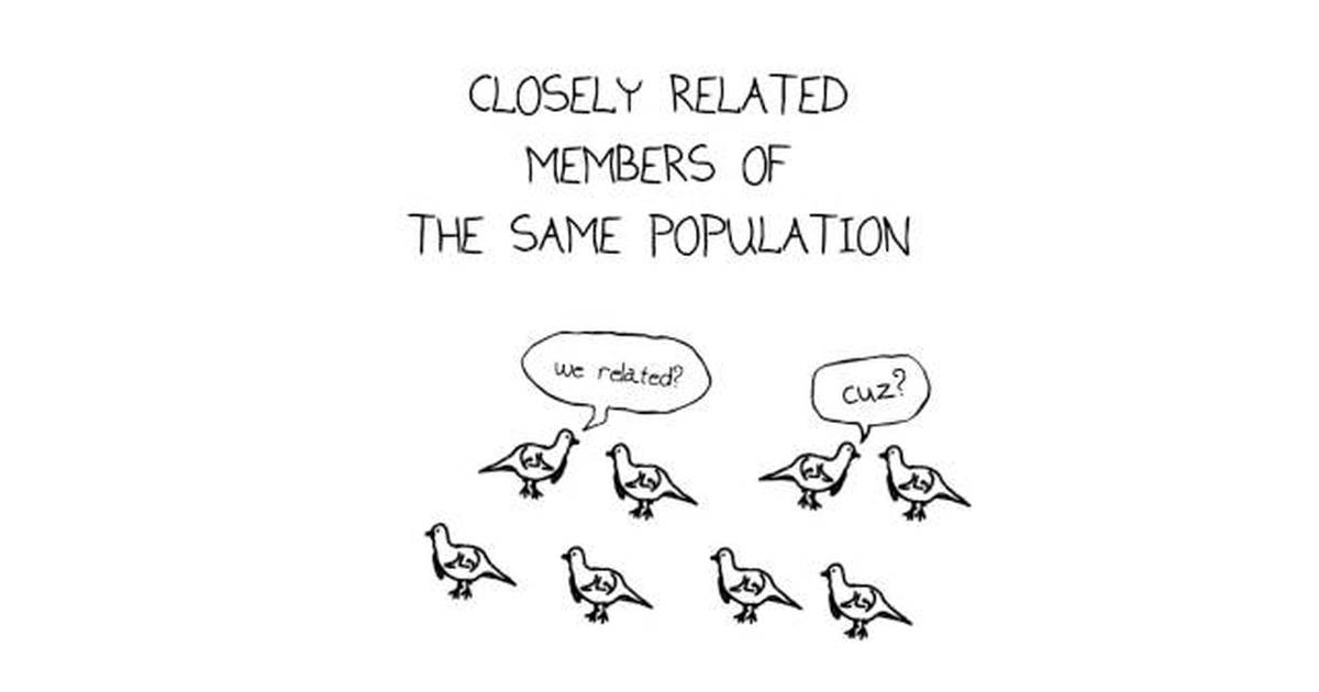 Genes and Biodiversity