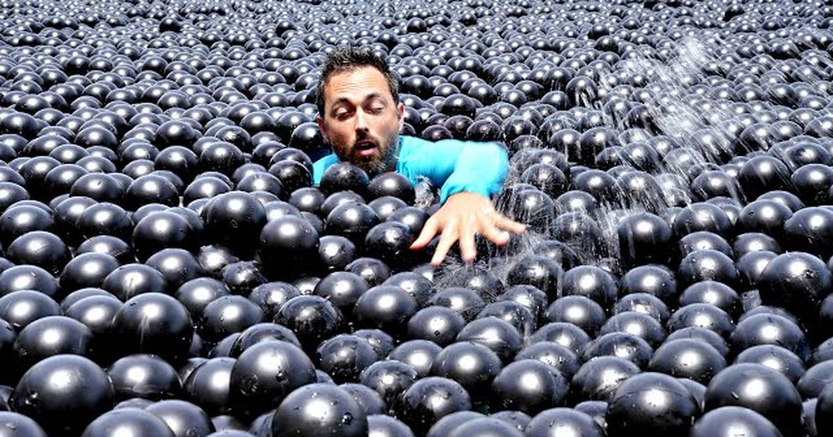 Can You Swim in Shade Balls?