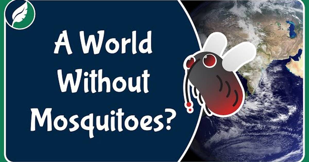 A World Without Mosquitoes?