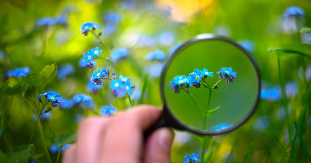 Where Is Biodiversity Found?