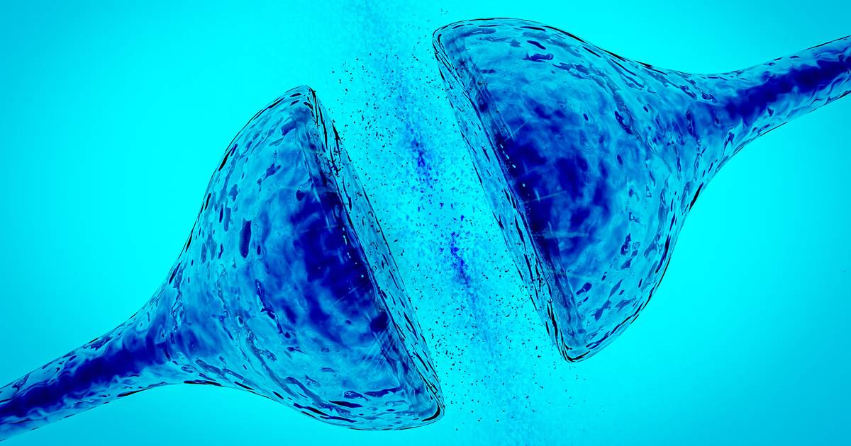 How Neurons Communicate