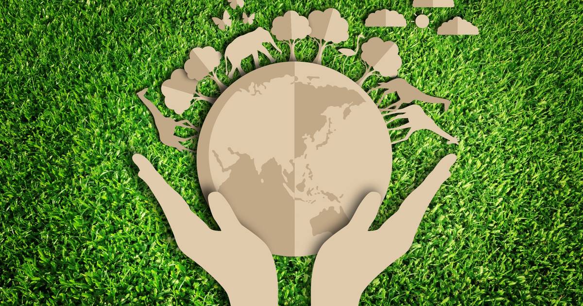 How Can Biodiversity Be Protected?