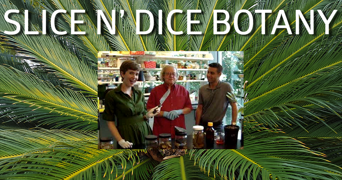 Slice n' Dice Botany!