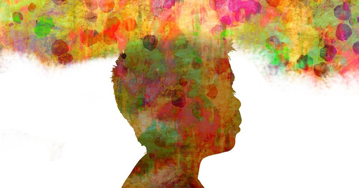 Early Brain Development and Heat Shock Proteins