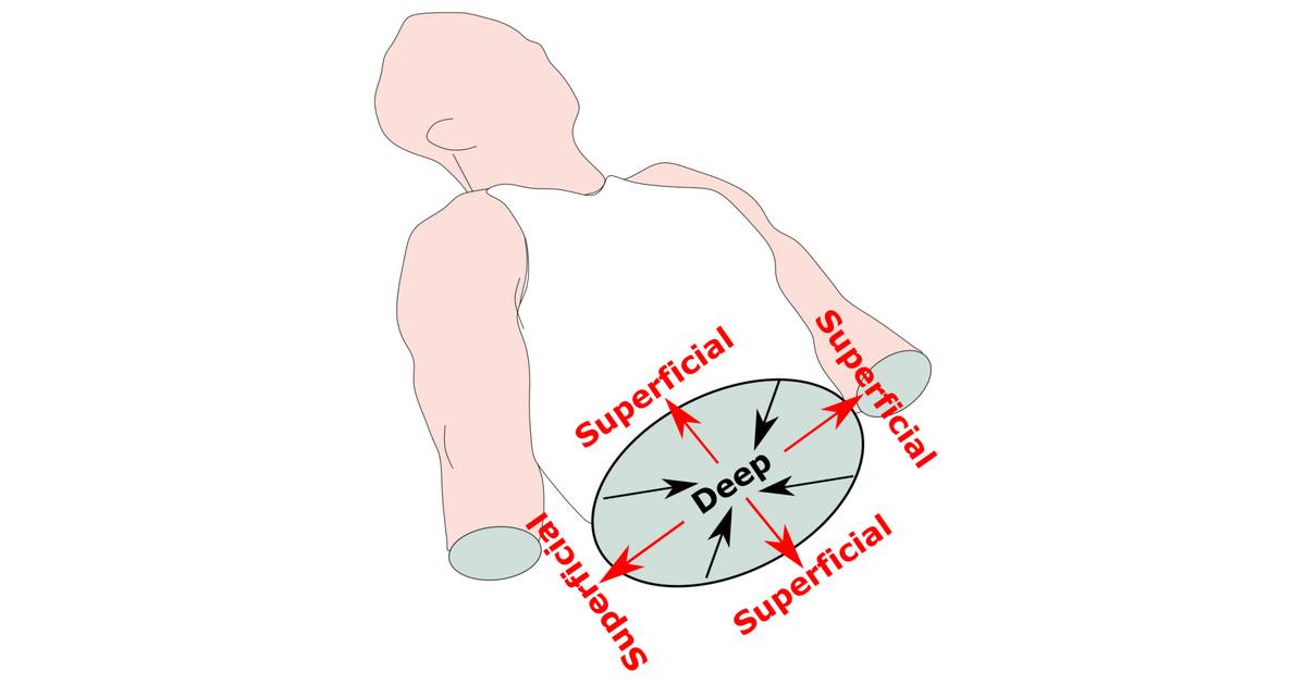 Anatomical Terminology: Developing a Common Language - Directional Terms