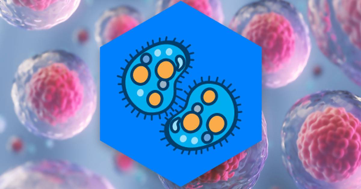 Cell Communication