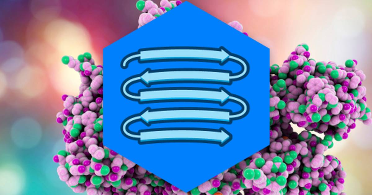 DNA Replication and Central Dogma