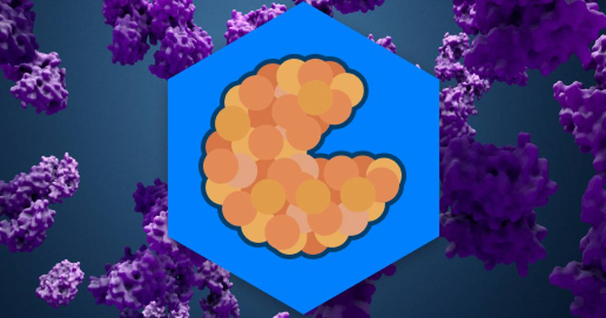 Enzymes