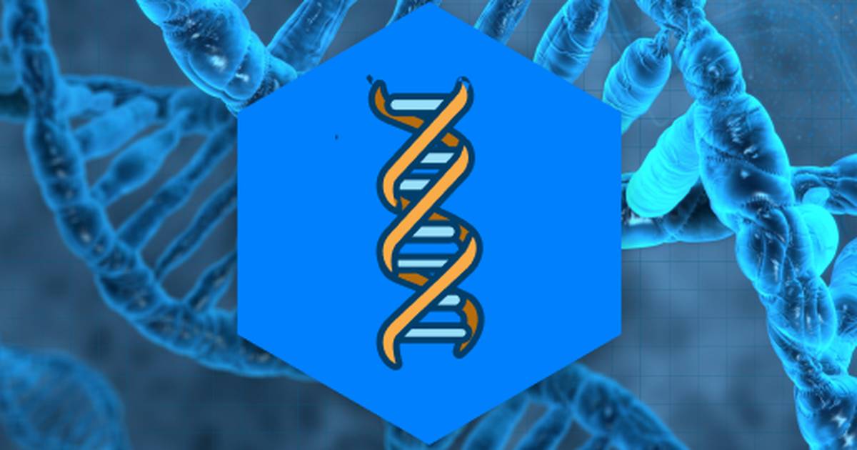 Nucleic Acids