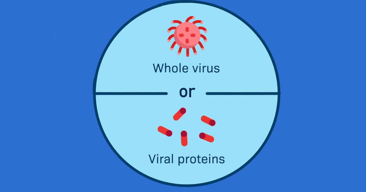 Different types of Vaccines