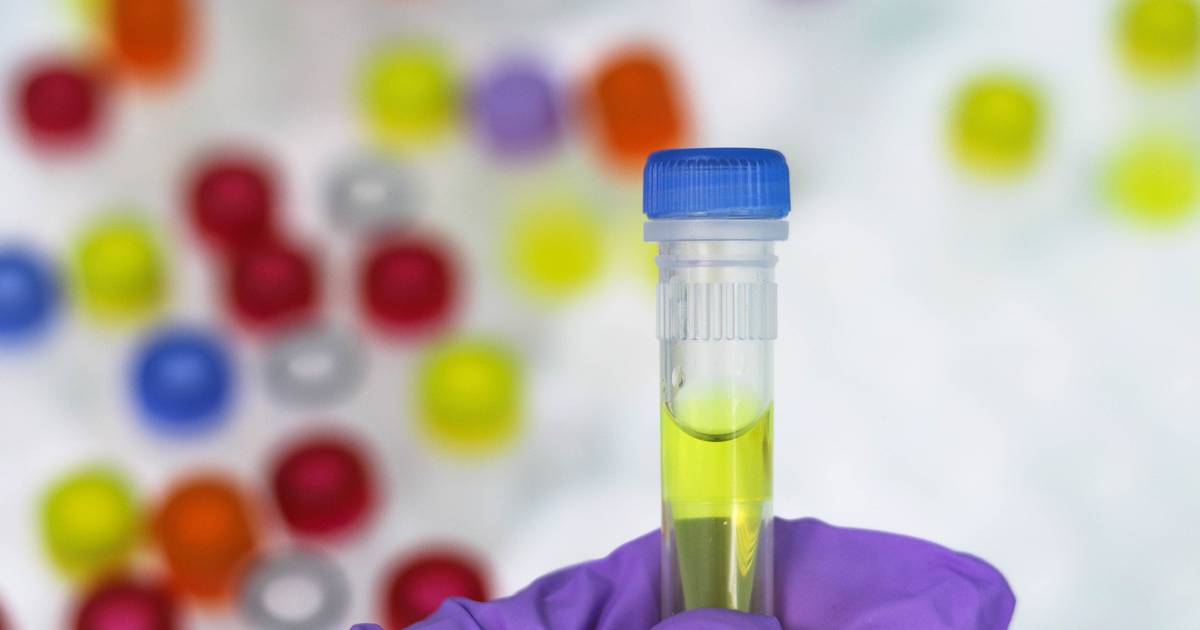 How Does PCR Amplify DNA?