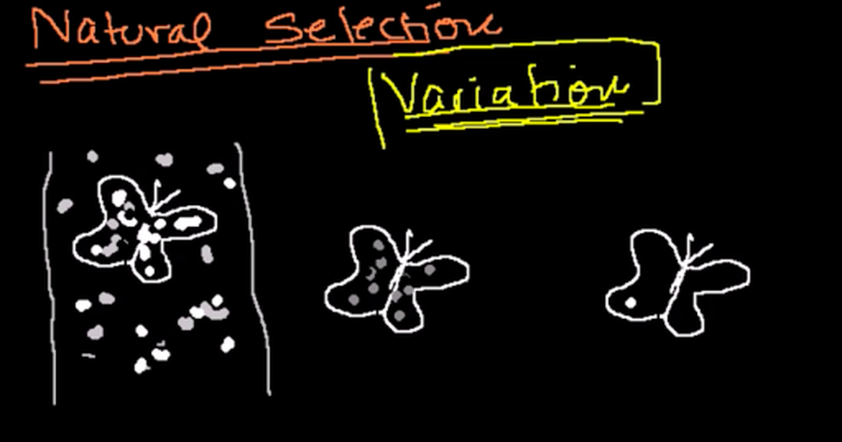 Introduction to Evolution and Natural Selection