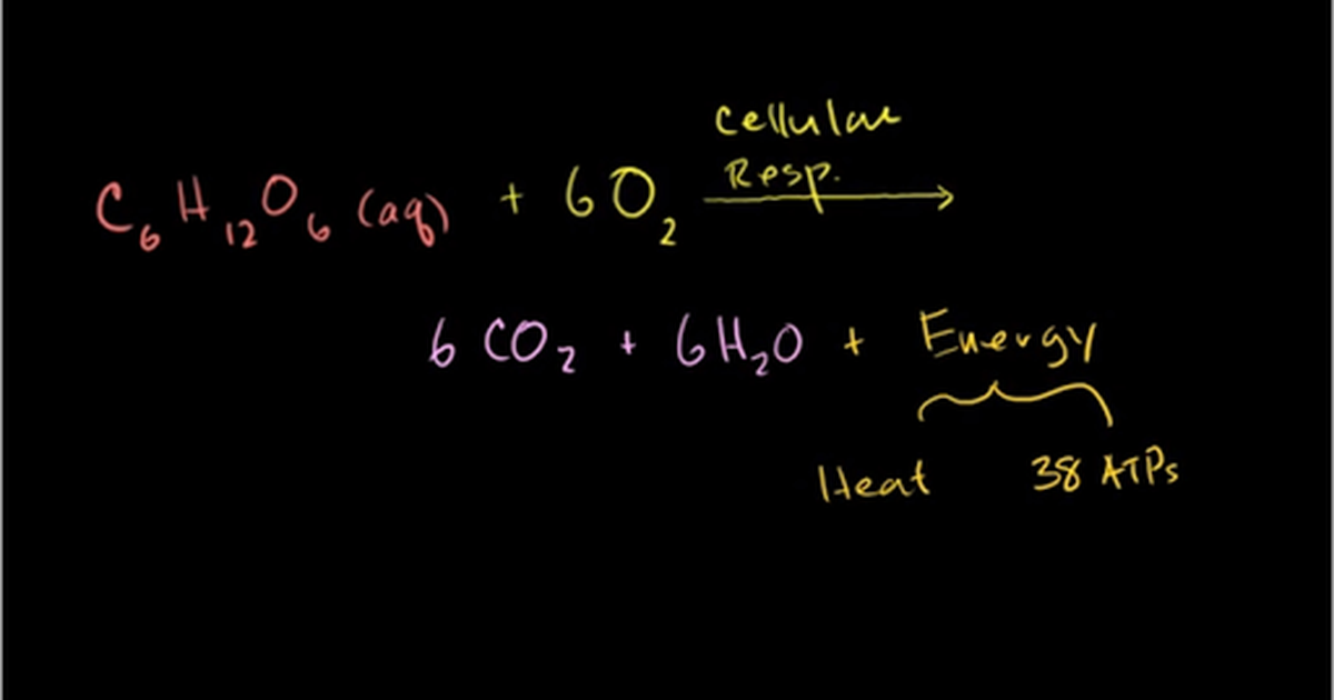 Oxidation and Reduction in Cellular Respiration