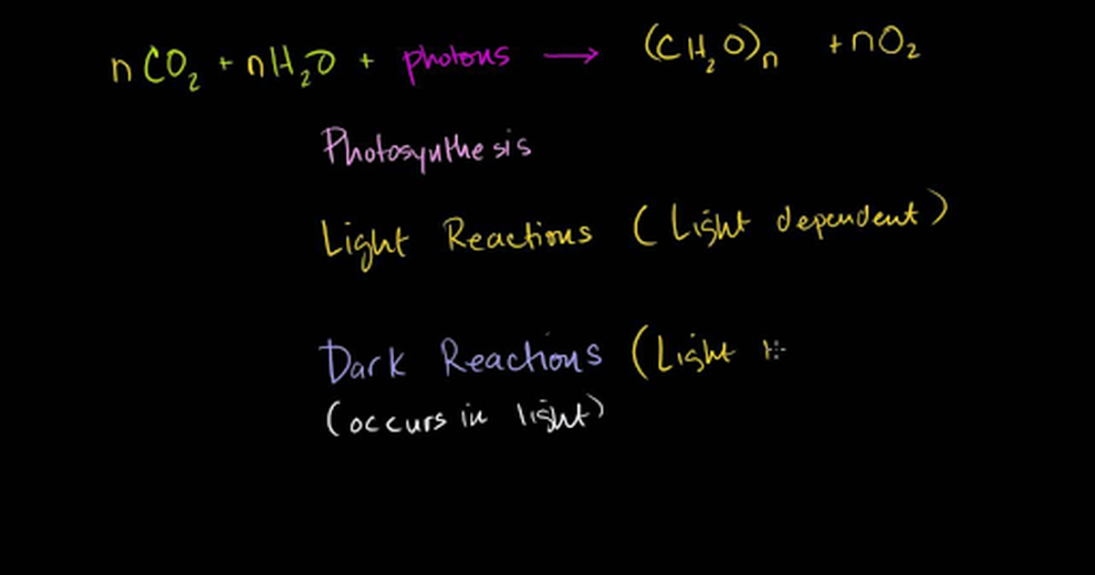 Photosynthesis