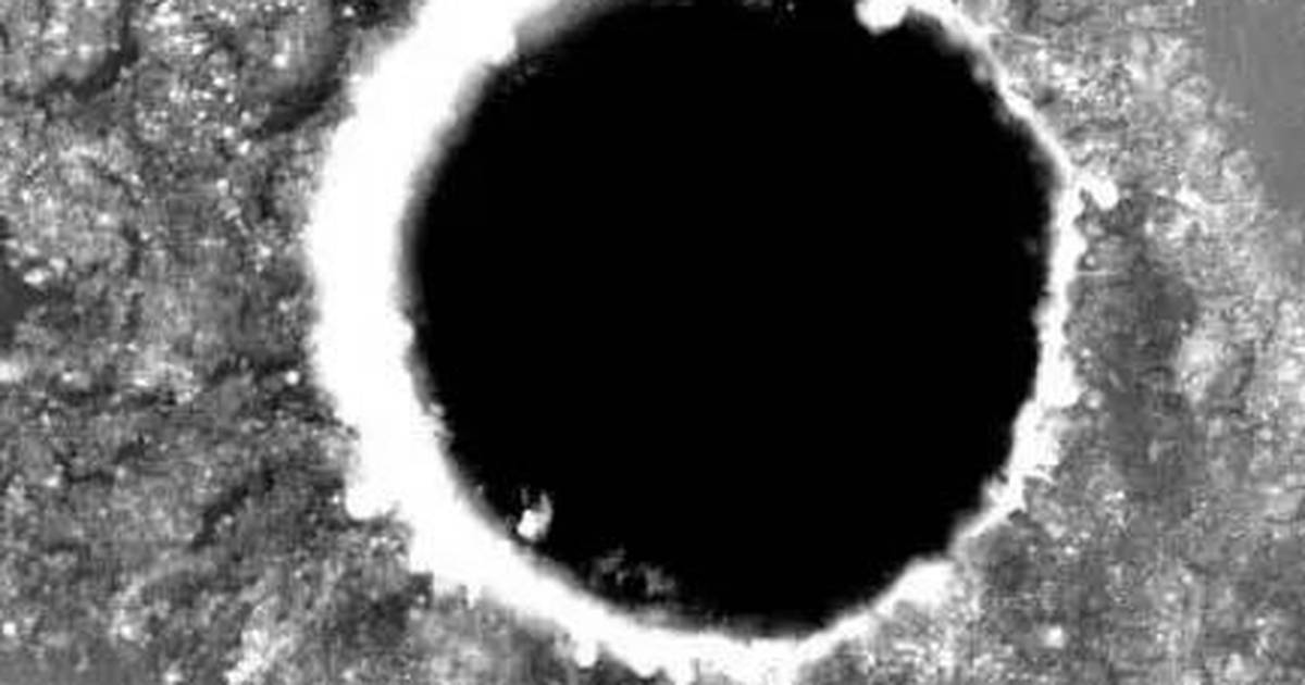 Nucleate Pool Boiling eXperiment (NPBX)