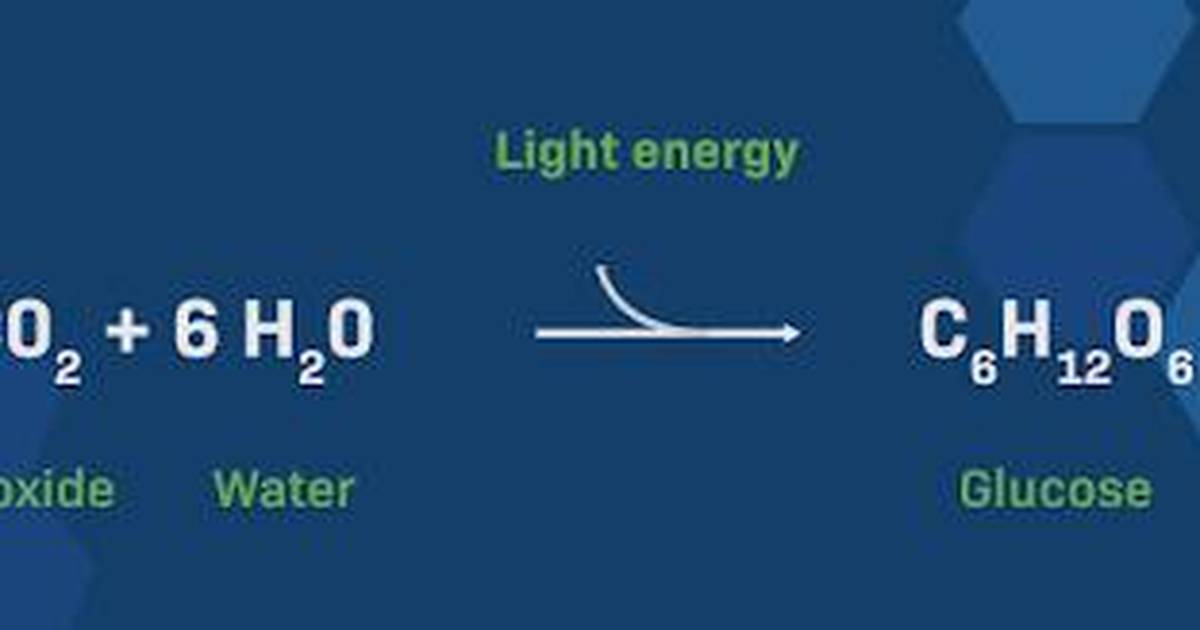 Light Intensity and Photosynthesis?