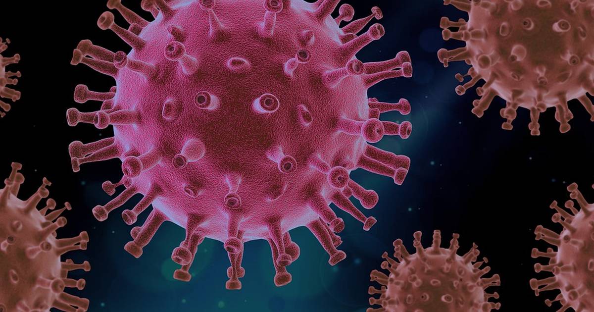 COVID-19 Infection Spread Basic