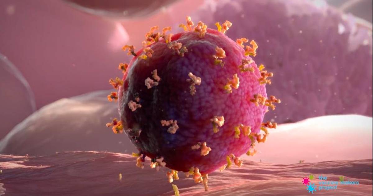 A Virus Attacks a Cell