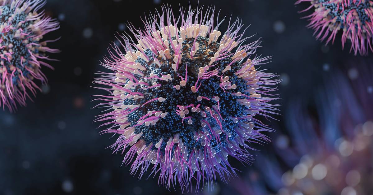 Microorganisms: The Invisible World Around Us