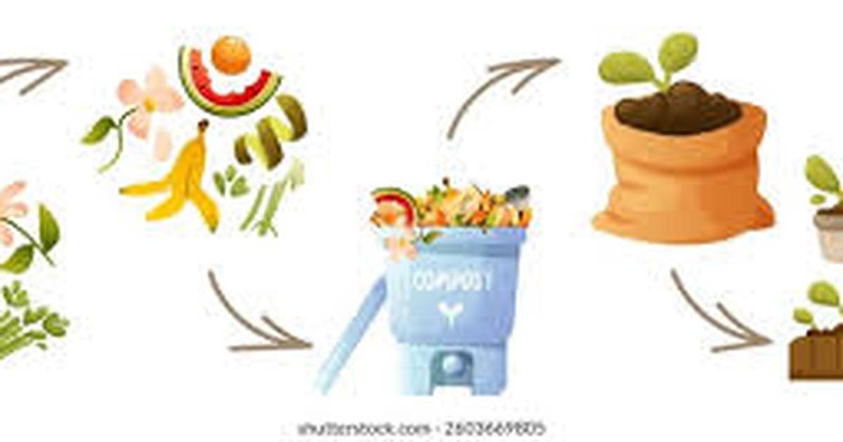 Waste-Free Kitchen — Eat Smart and Save the Planet