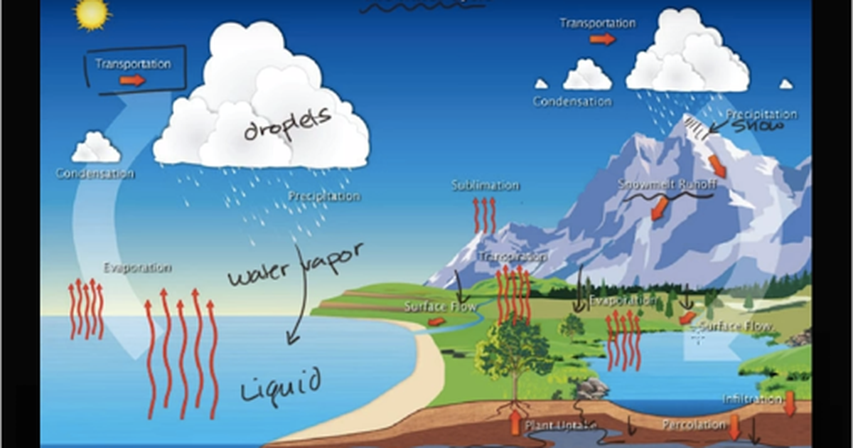 The Water Cycle