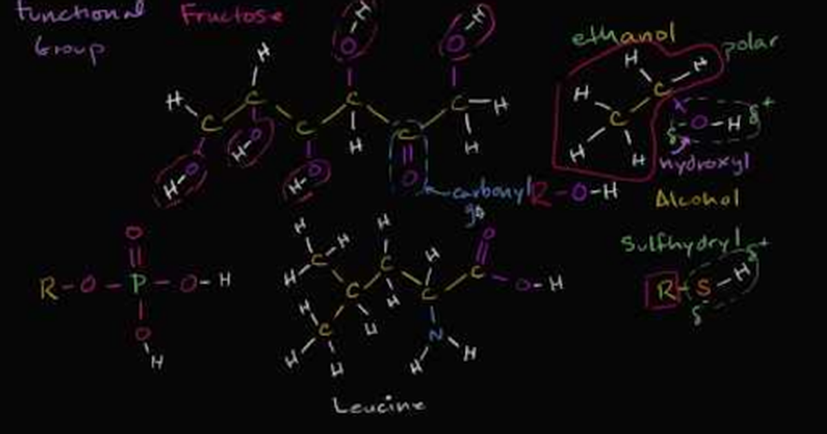 Functional Groups
