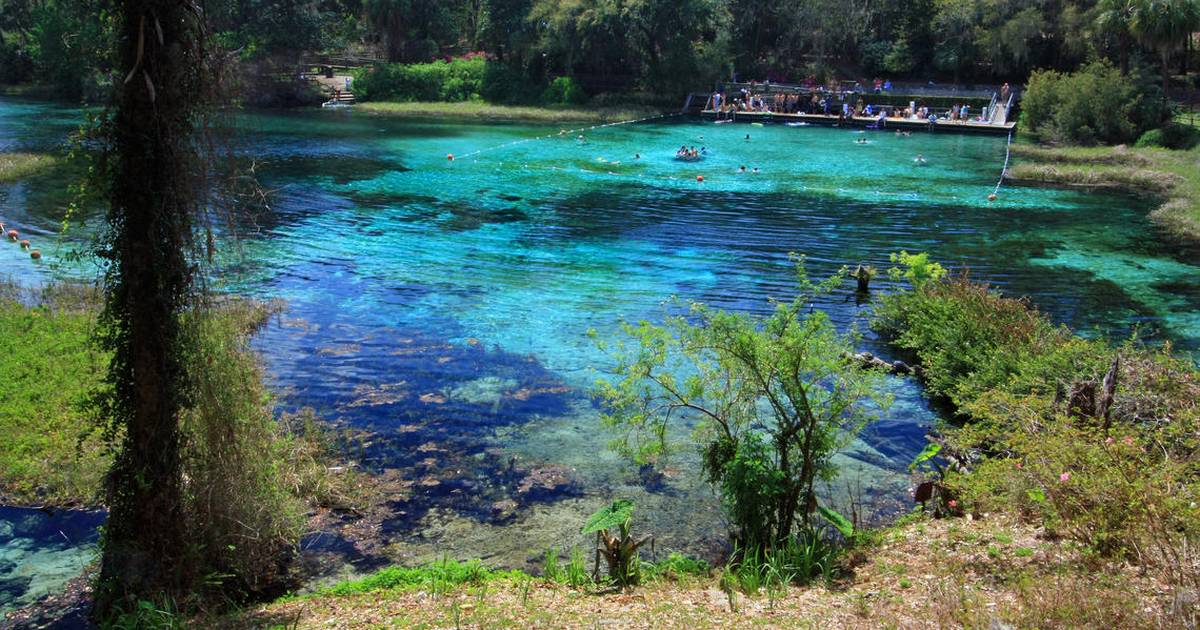Springs and the Water Cycle