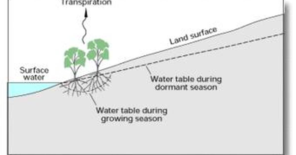 Evapotranspiration and the Water Cycle